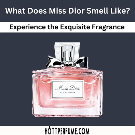 best dior fragrance|what does miss dior perfume smell like.